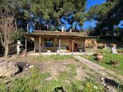 Casa indipendente con giardino a Bibbona