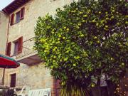 Casa indipendente con giardino a Camaiore