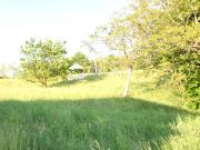 Casa indipendente con giardino a Montebelluna