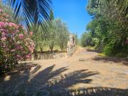 Casa indipendente con giardino a Pontassieve