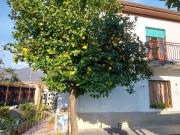 Casa indipendente con giardino, Carrara avenza