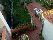 Casa indipendente con giardino, Carrara marina di