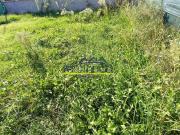 Casa indipendente con giardino, Cascina casciavola