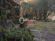 Casa indipendente con giardino, Castelnuovo Berardenga...