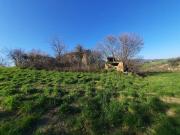 Casa indipendente con giardino in cantina cocci grifoni,...