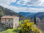 Casa indipendente con giardino in loc. torcigliano alto...