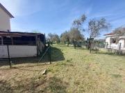 Casa indipendente con giardino in via cisa 40, Sarzana