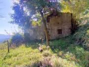 Casa indipendente con giardino in via volpara 9, Sarzana