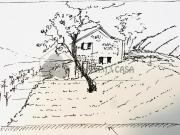 Casa indipendente con giardino in via volpara 9, Sarzana