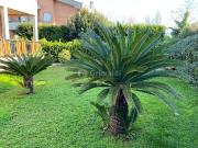 Casa indipendente con giardino in viale delle ginestre...
