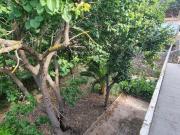 Casa indipendente con giardino, Portoferraio bagnaia