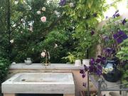 Casa indipendente con giardino, San Giuliano Terme campo