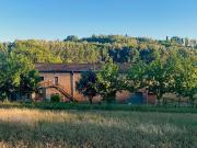 Casa indipendente con giardino, San Miniato volpaio