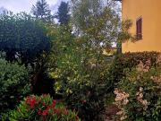 Casa indipendente con giardino, Santa Croce...