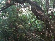 Casa indipendente con terrazzo a Carrara