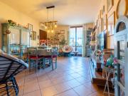 Casa indipendente con terrazzo a Novellara