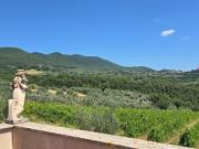 Casa indipendente con terrazzo in via pilli snc, Montecchio