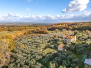 Casa indipendente con uliveto vicino Montepulciano,...