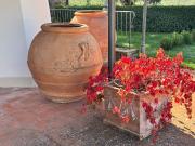 Casa indipendente in affitto a Firenze FI