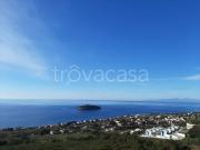 Casa Indipendente in in affitto da privato a Diamante...