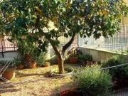 Appartamento in vendita a Ceriale SV