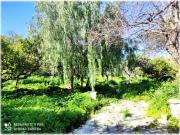 Casa indipendente in vendita a Alcamo