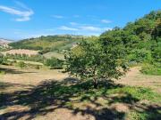 Casa indipendente in vendita a Ancona