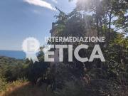 Casa indipendente in vendita a Belvedere Marittimo CS