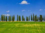 Casa indipendente in vendita a Borgo San Lorenzo FI