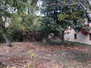 Casa indipendente in vendita a Calci PI