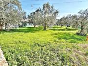 Casa indipendente in vendita a Calenzano FI