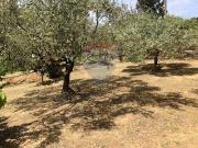 Casa indipendente in vendita a Caltagirone CT