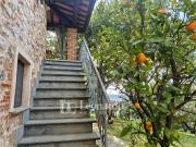 Casa indipendente in vendita a Camaiore, Collina