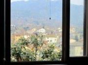 Casa indipendente in vendita a Camaiore LU