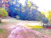 Casa indipendente in vendita a Camaiore LU