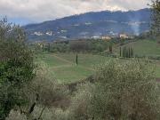 Casa indipendente in vendita a Capannori