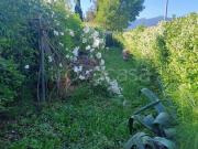 Casa indipendente in vendita a Capannori via del...