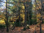 Casa indipendente in vendita a Carpineti RE