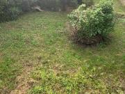 Casa indipendente in vendita a Cascina PI