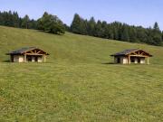 Casa indipendente in vendita a Castello Tesino TN