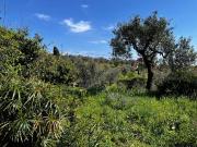 Casa indipendente in vendita a Castelnuovo Magra SP