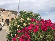 Casa indipendente in vendita a Colle San Magno FR