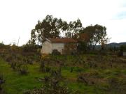 Casa indipendente in vendita a Dolceacqua