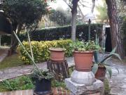 Casa indipendente in vendita a Fano