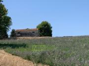 Casa indipendente in vendita a Fermo FM