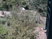 Casa indipendente in vendita a Firenze FI