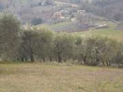 Casa indipendente in vendita a Folignano