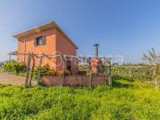 Casa indipendente in vendita a Frascati via di Colle Reti