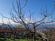Casa indipendente in vendita a Genova GE