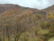 Casa indipendente in vendita a Gurro VB